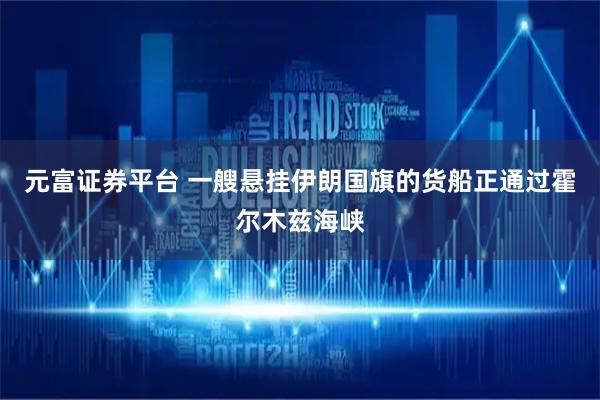 元富证券平台 一艘悬挂伊朗国旗的货船正通过霍尔木兹海峡